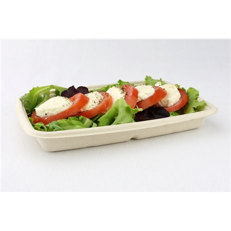 75 st. Bagasse bricka - 22,9x16,5x2,9cm, 600 ml