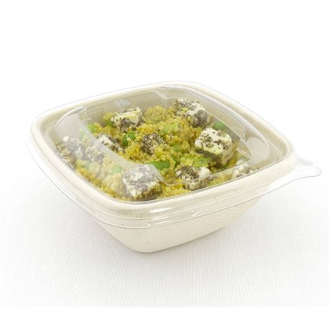 50 st. Bagasse skål - 13,2x13,2x5,4cm, 375 ml