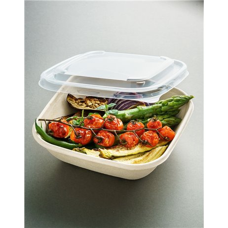 50 st. Bagasse skål - 17x17x5,2cm, 750 ml